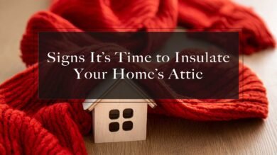Signs its time to insulate your homes attic.