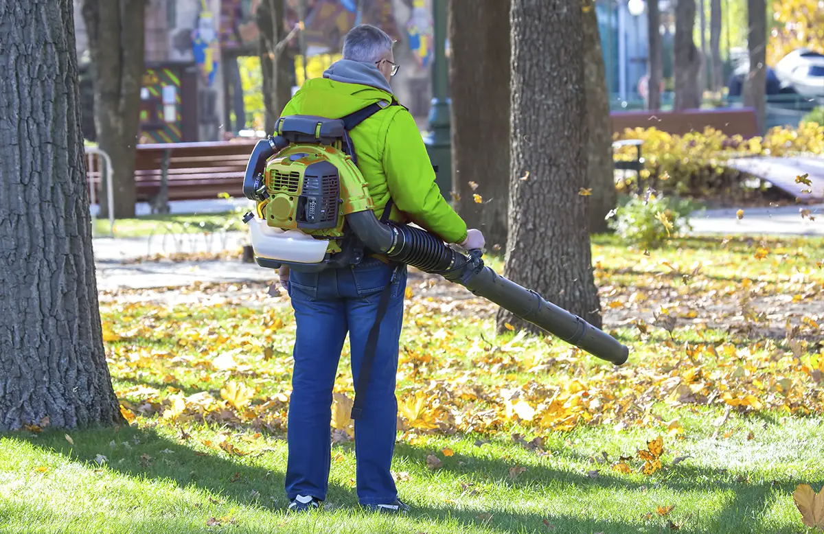 Interior seasonal home maintenance tips for London homes